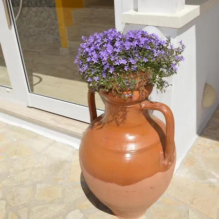 فندق مبيت وإفطار Casa Cardignan 4*